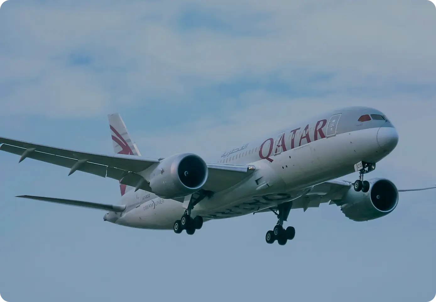 Find Cheap Flights 