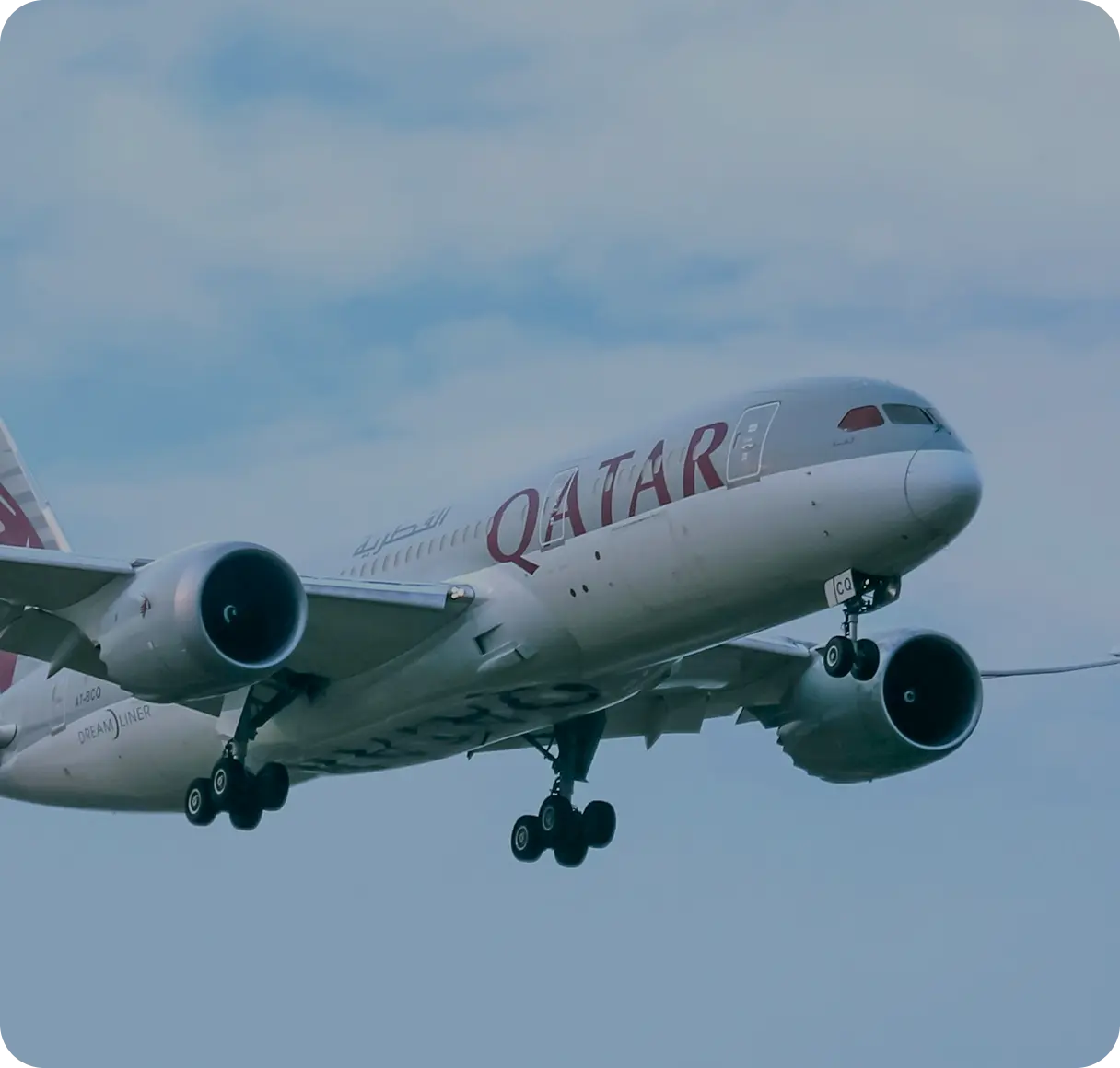 Find Cheap Flights 