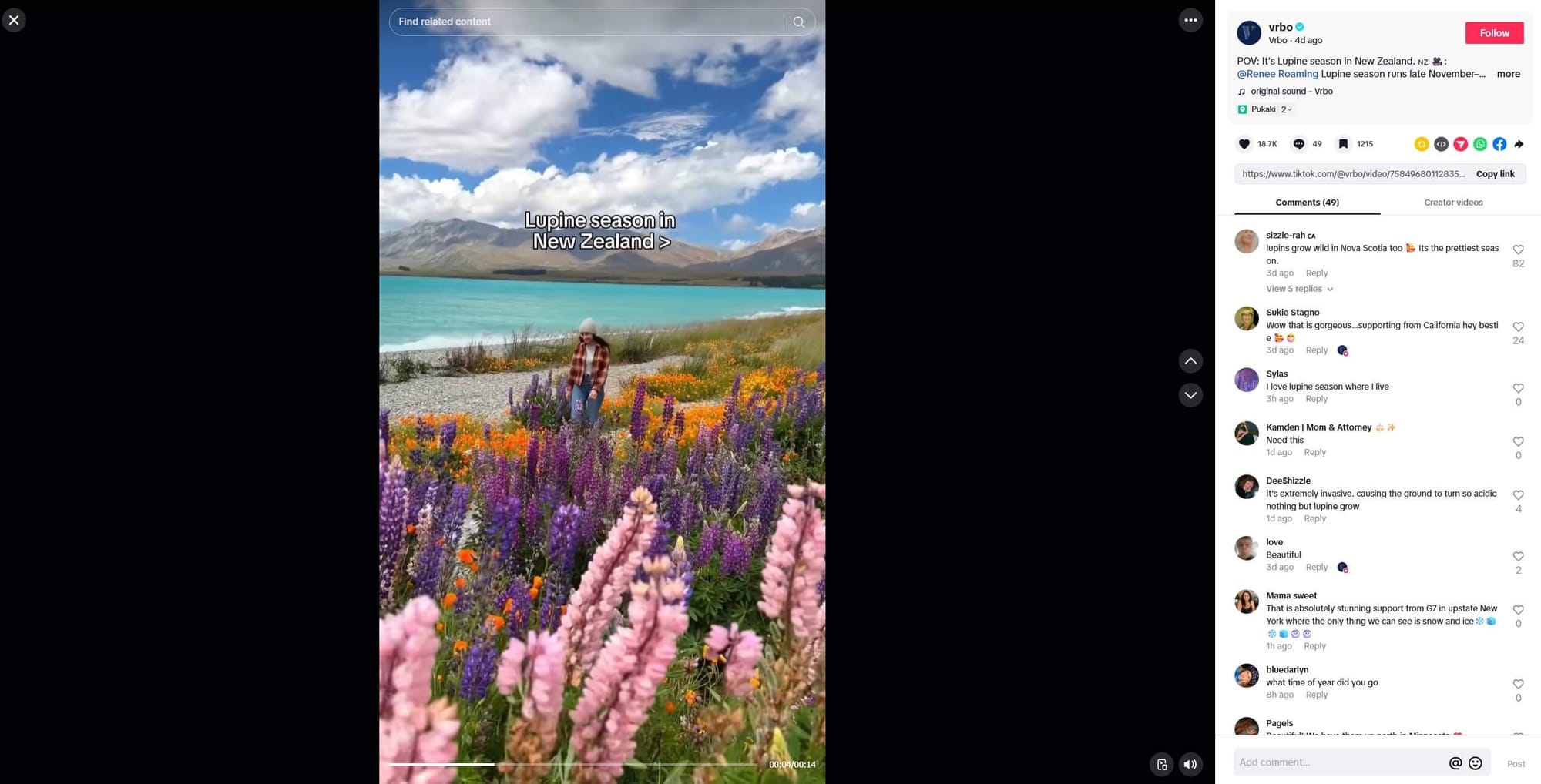 Tiktok video of New Zealand
